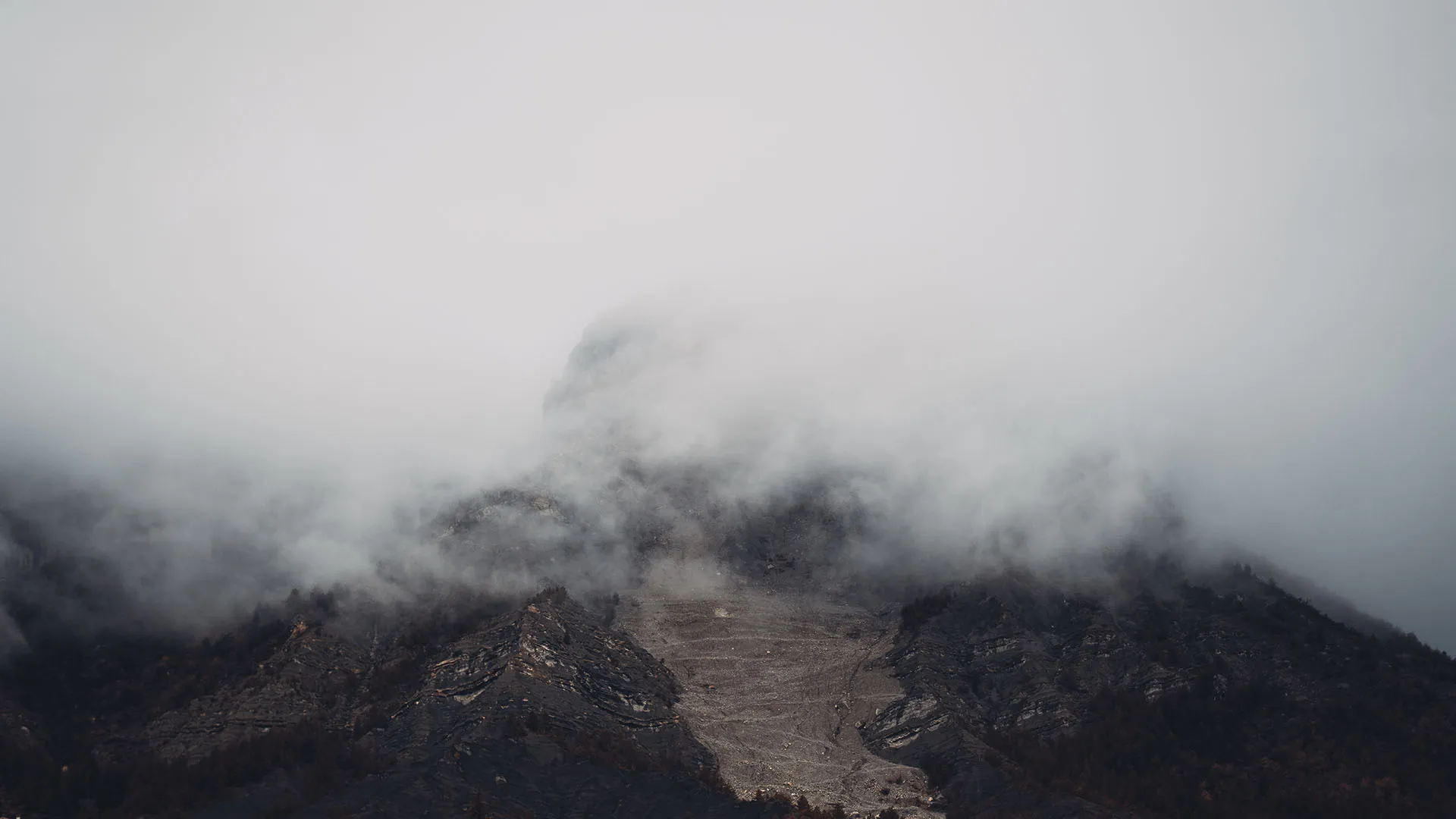 Photographie de brume par Joannie Angileri du Studio Naica