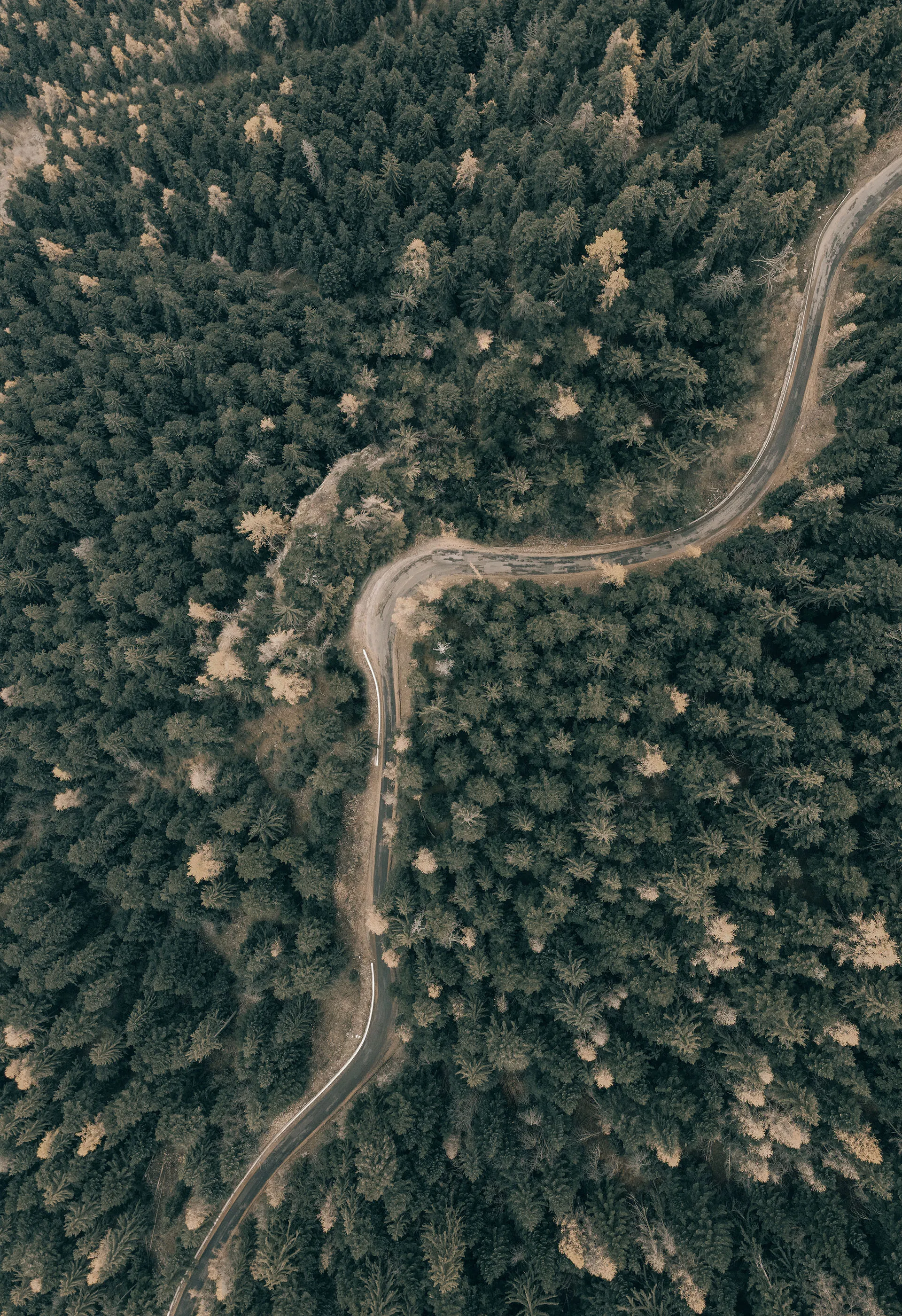 Photographie au drone par Joannie Angileri du Studio Naica